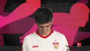 Look Up Vfb Stuttgart GIF by Bundesliga