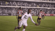 santos fc GIF by Santos Futebol Clube