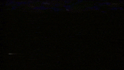 Aesthetics Trash Gang GIF