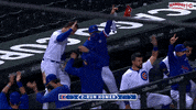 Cubs GIF by Marquee Sports Network