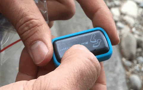 dominikborn giphygifmaker GIF