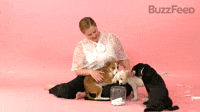 I Just Need To Get A Lot Of Dogs