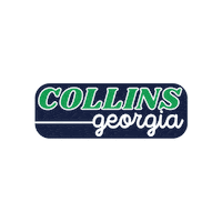 Collins Sticker by Great GA Realty