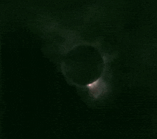 Cragsand sun moon solar eclipse GIF