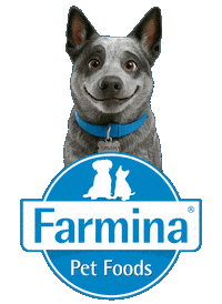 Blue Heeler Australian Sticker by Tornado - Blue Heeler