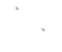 Graduation Classof2022 Sticker by St. Lawrence University