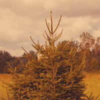 Sexy Halloween GIF by This GIF Is Haunted