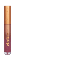 ElaluzBeauty beijo lip gloss picante lip oil Sticker