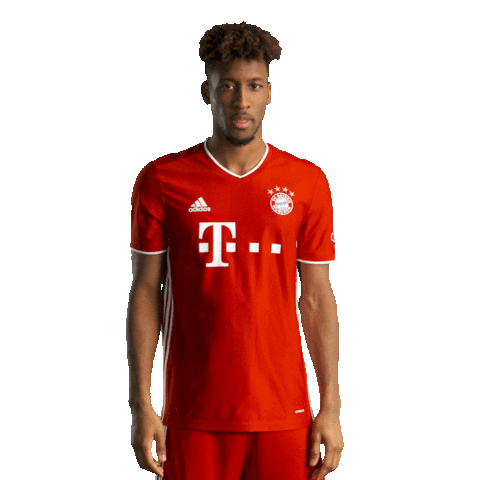 New Jersey King Sticker by FC Bayern Munich
