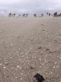 gifatunde GIF by Baratunde Thurston