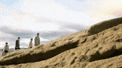 Bangtan GIF by BTS 방탄소년단