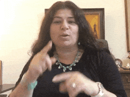 Asl Cant Stop GIF