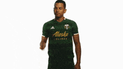 Portland Timbers No GIF by Timbers