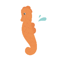 Seahorse Sticker by ZippyPaws