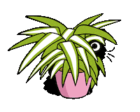 Black Cat Sticker by meowbox