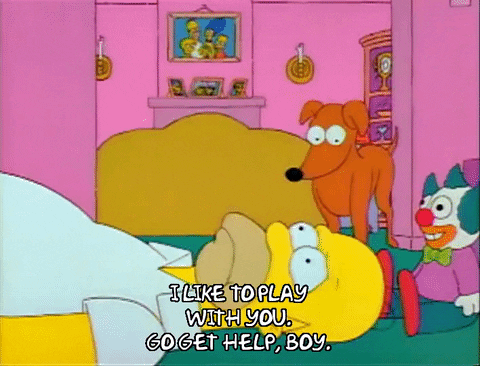 Season 1 GIF by The Simpsons