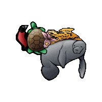 ConBiVe venezuela naturaleza caracas conservacion Sticker