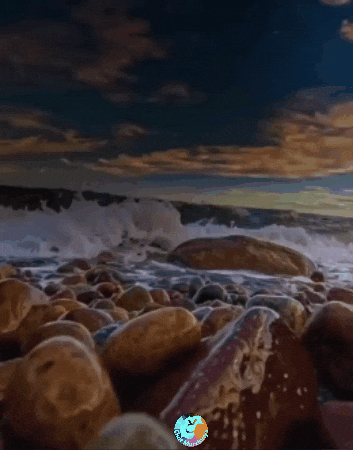 Amigos Playa GIF by Murcianys LLC