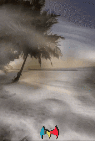 Sol Quiero GIF by Murcianys LLC