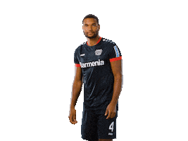 Bayer 04 Arrow Sticker by Bayer 04 Leverkusen