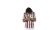 Tricolores Kingside Sticker by Willem II