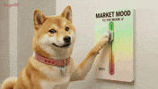 Meh Shiba Inu GIF by DogeGF