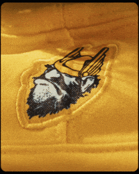 Idaho_Vandals idaho vandals university of idaho u of i GIF