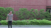 andrew hales lahwf GIF