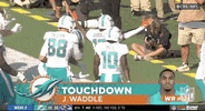 Miami Dolphins Football GIF by NFL