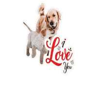 In Love Dogs Sticker by Milagency