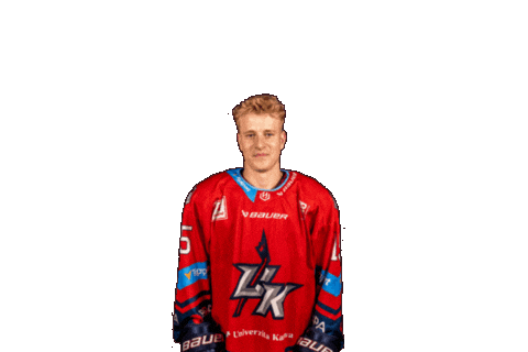 Ukkings Sticker by UK KINGS PRAGUE