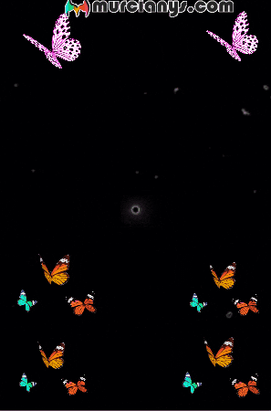 Sexy Radio GIF by Murcianys LLC