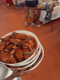 Maryland Crabs Crab Party GIF by The Crab Place