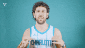 Hive Mentality Vasa Micic GIF by Charlotte Hornets