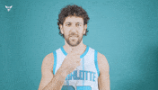 Hive Mentality Vasa Micic GIF by Charlotte Hornets