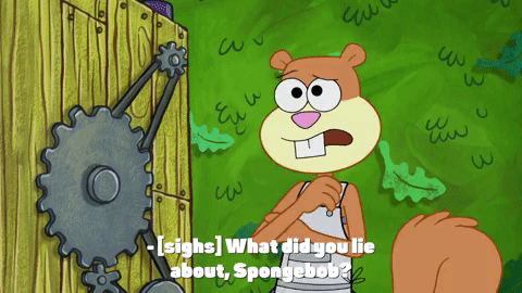 season 9 episode 24 GIF by SpongeBob SquarePants