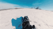 StophouseMusicGroup prof profgampo gampo stophouse GIF