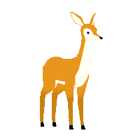Deer Doe Sticker