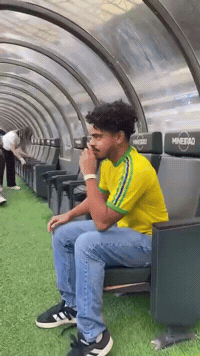 Brazil Manager GIF