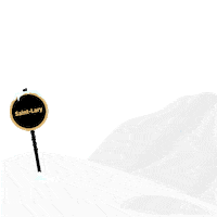 Snow Ski Sticker by Altiservice