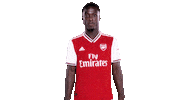 arsenal football soccer celebration celebrate Sticker