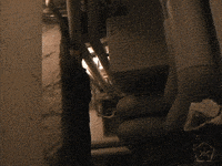 santa claus GIF by Okkult Motion Pictures