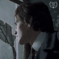 Film Festival Peeking GIF by Atlanta Jewish Film Festival