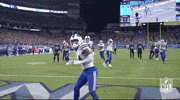 Buffalo Bills Football GIF by NFL