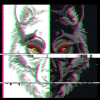 falseidolbrewing wolf wolves wolfpack wolf pack GIF