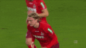 1 Fc Cologne Football GIF by 1. FC Köln