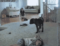kiss GIF
