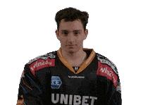 Break Austria Sticker by Black Wings Linz