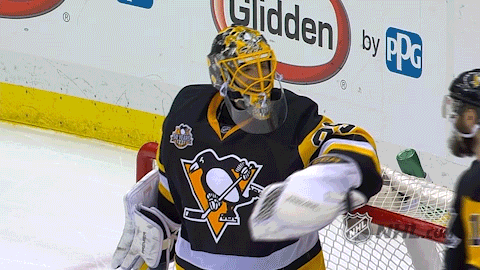 ice hockey GIF by NHL