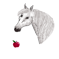 winterlichtmalerei horse competition military pferd Sticker